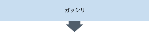 がっしり体型