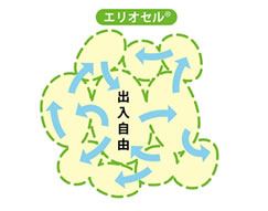 エリオセル