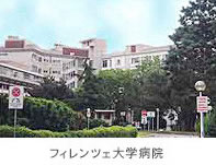 マニフレックス