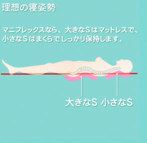 理想の寝姿勢は大きなSと小さなs