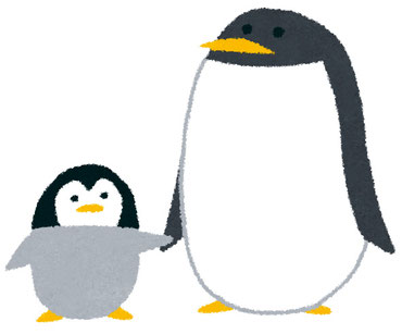 親子でマニフレックス