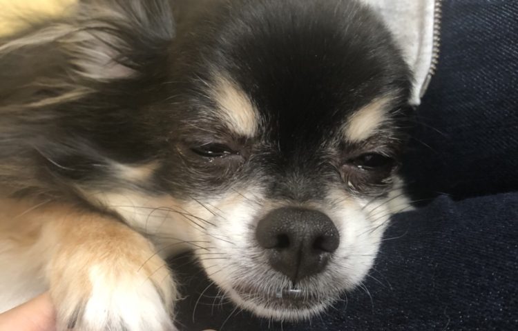 もしかして、めざめた???