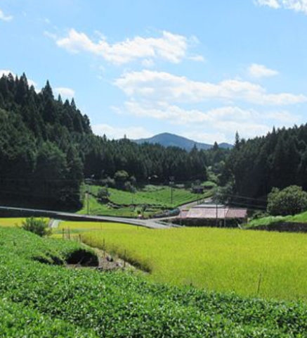 ネタを探す旅