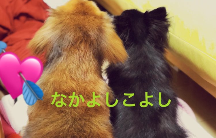 いまどきの傘事情☂