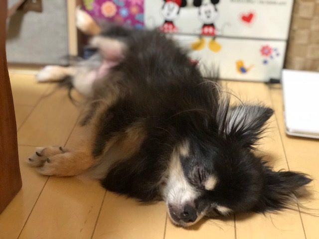 子どもの時にだけ見えるもの…