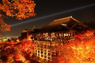 紅葉の季節はアッと言う間に過ぎる~>゜)))彡
