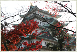 紅葉は・・やっぱり名古屋城!