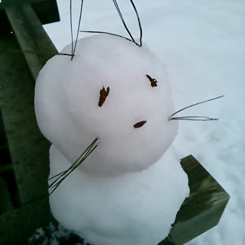 雪が育てるもの
