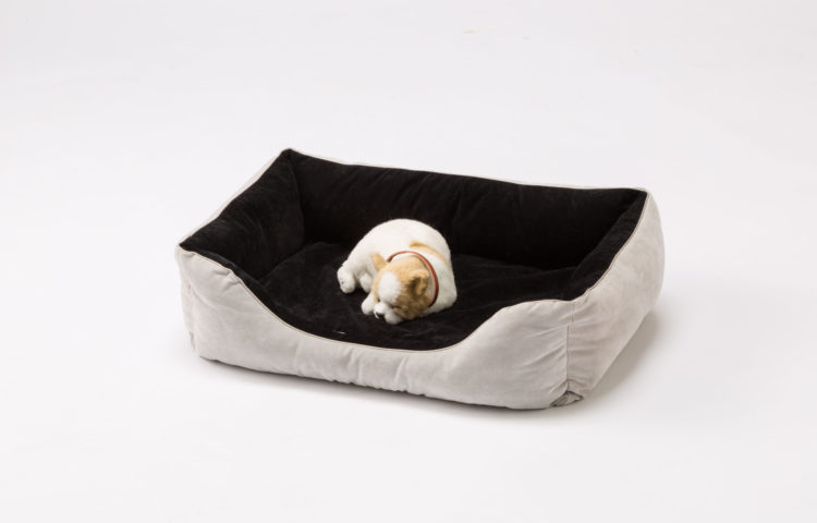 自分の眠りに関心を・・・