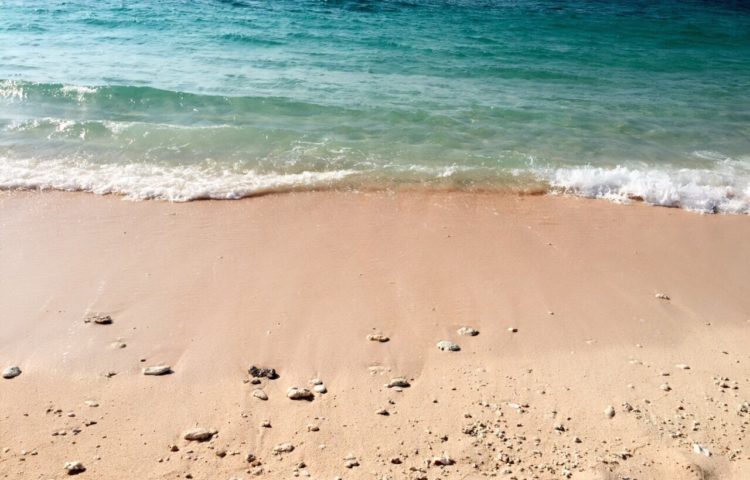 7月のテーマは 《夏休み》 〜海〜