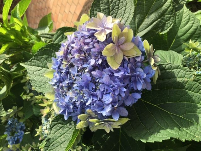 良質な睡眠をとりましょう