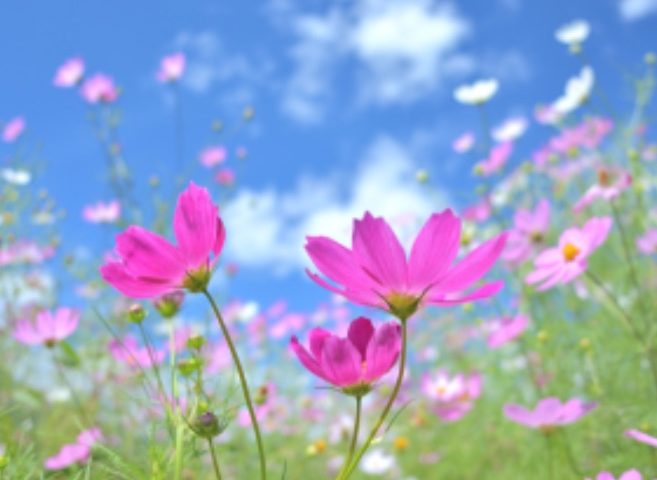 睡眠前にストレッチを・・・