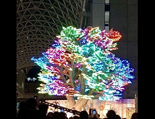イルミネーション大好き