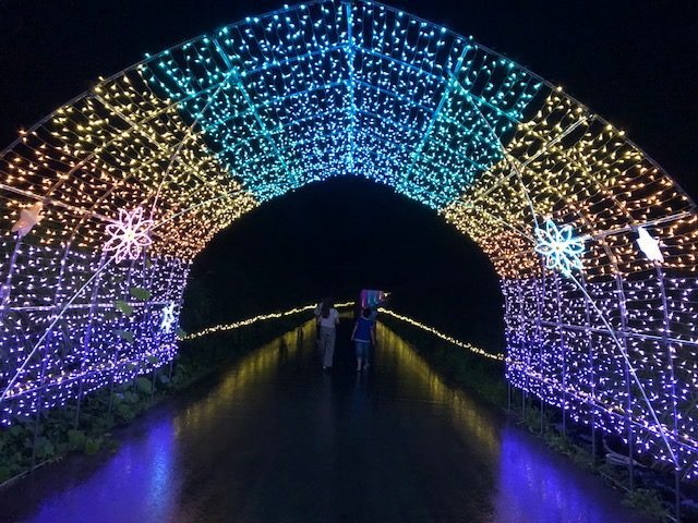 ずっと恋焦がれたイルミネーション✨