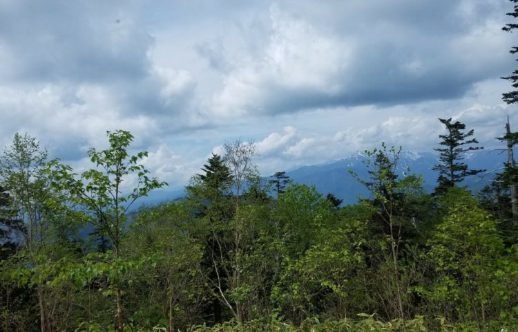 山に登ってみようかな~