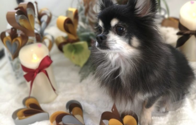 スタッフブログ ~甘々なわたし…~