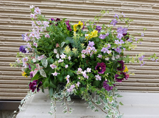 スタッフブログ~雨はどうして降るのかな~