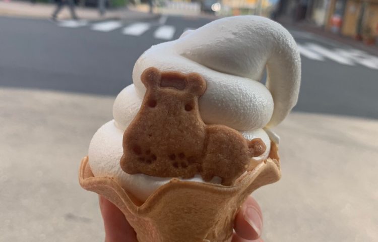 スタッフブログ~アイスクリームと優しさ