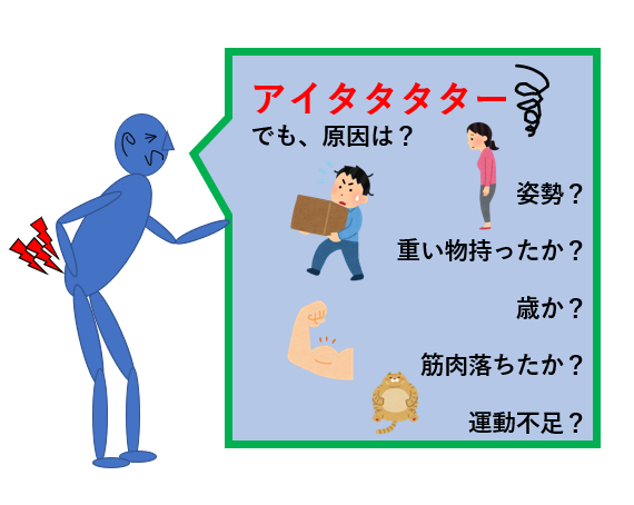 スタッフの口コミ【マニフレックスのこれな~に?】~腰痛の人に合うマットレス~