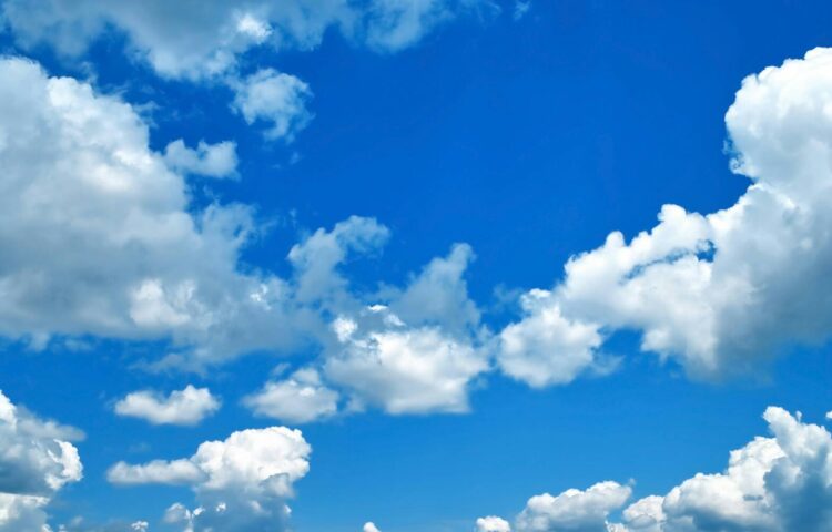 7月ブログテーマ【夏休み♪】