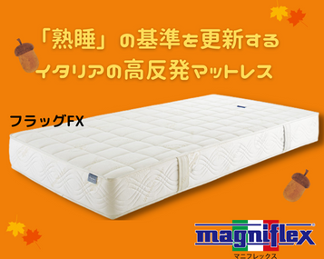 名古屋ショールーム~フラッグFX~