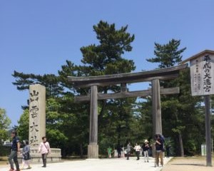 スタッフブログ 《1月のテーマはうさぎ》~因幡の白兎~