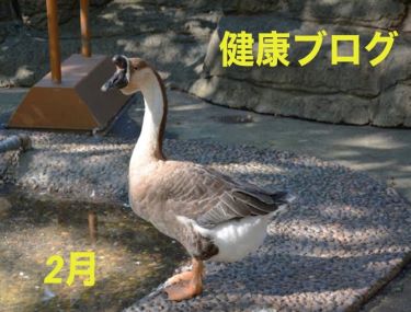 健康ブログ~手荒れ~