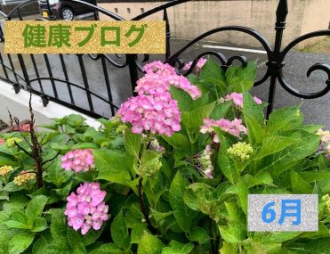 健康ブログ~梅雨だる~